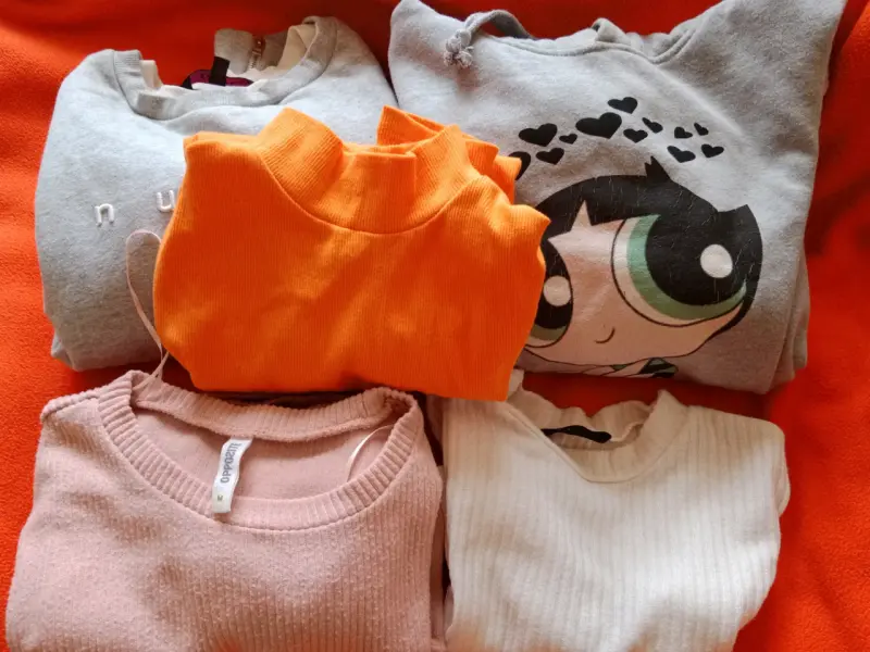 Lote de polerones y sweaters variados - 1