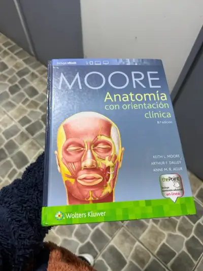 Libro Moore Anatomía 8ª edición - miniatura 1