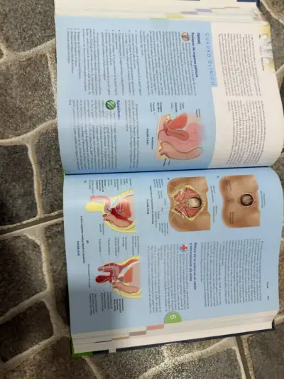 Libro Moore Anatomía 8ª edición - miniatura 5