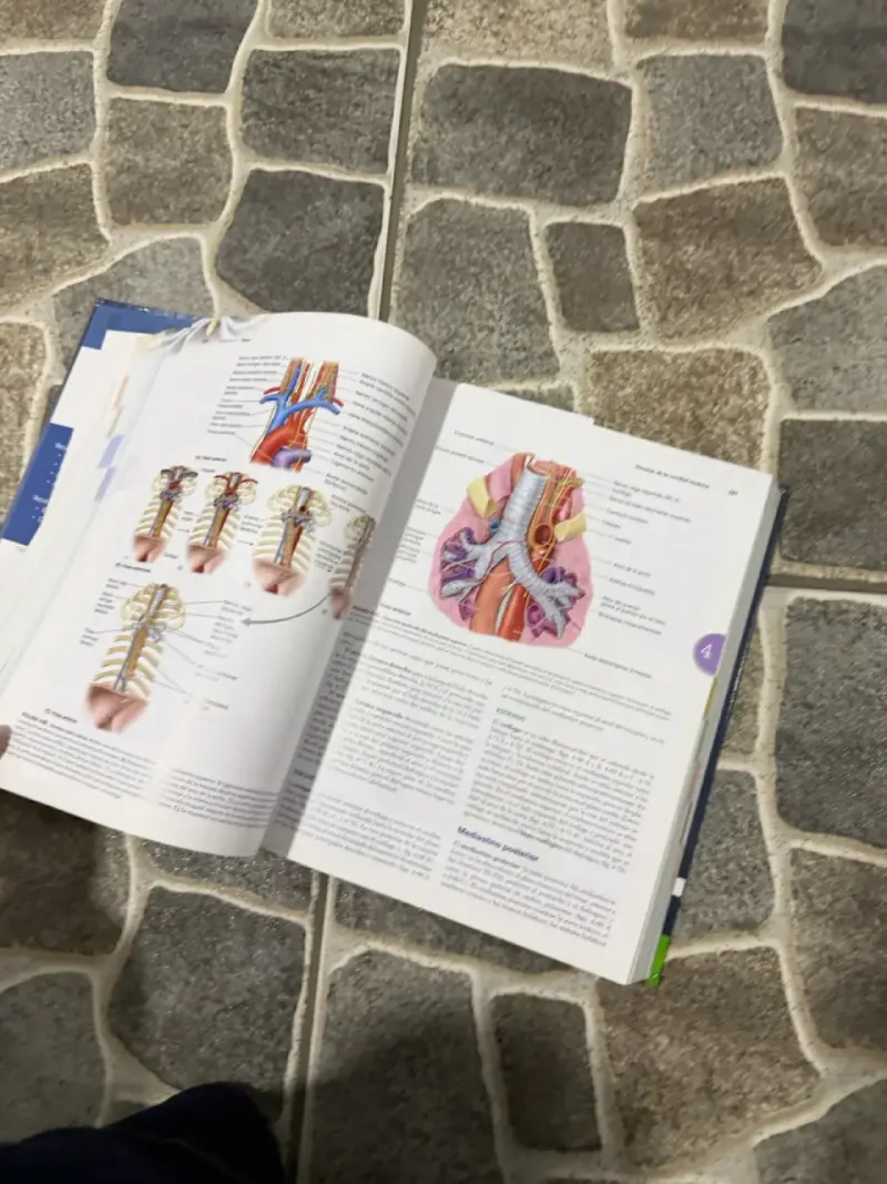 Libro Moore Anatomía 8ª edición - 6