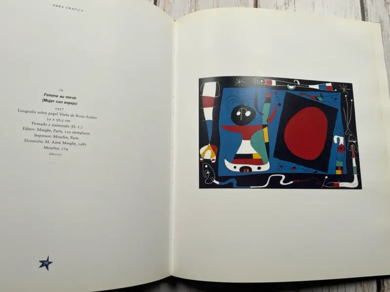 Libro arte Joan Miró - 6