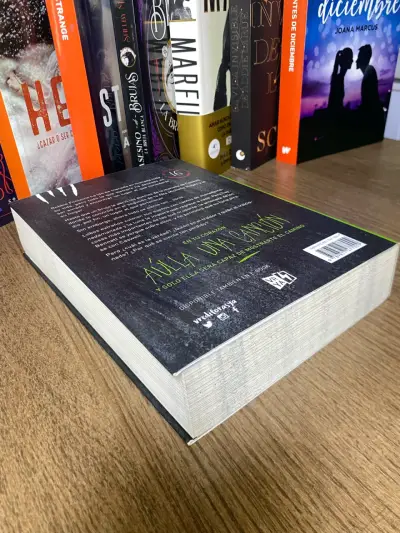 Libro 'La canción del corazón' por TJ Klune - miniatura 2