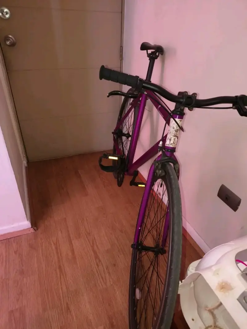 Bicicleta fixie morada - 2