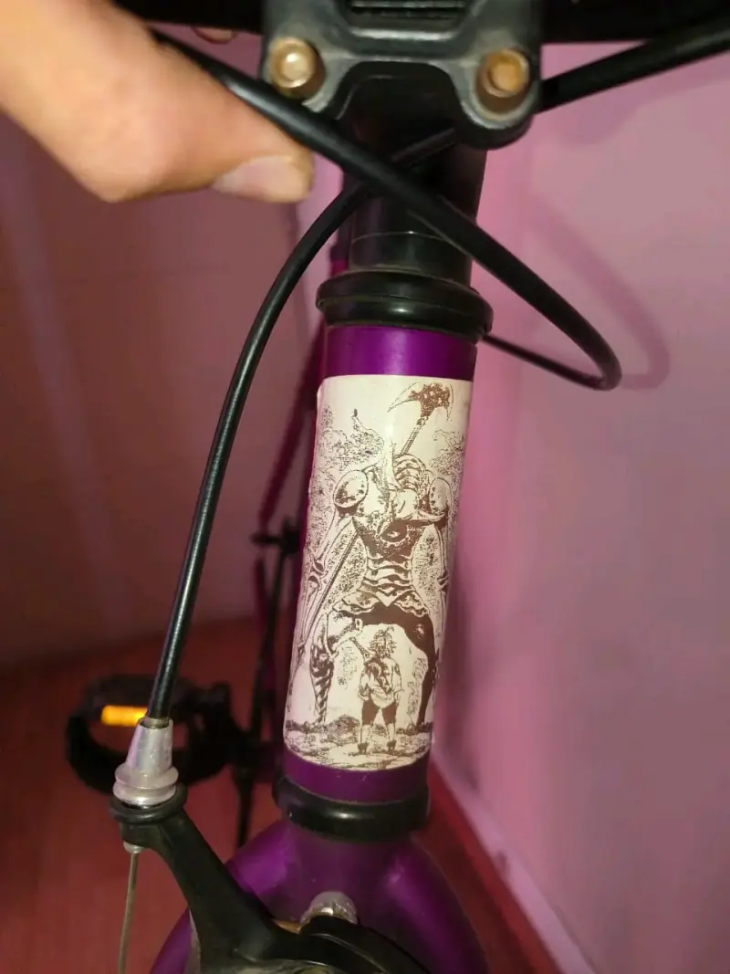 Bicicleta fixie morada - 4