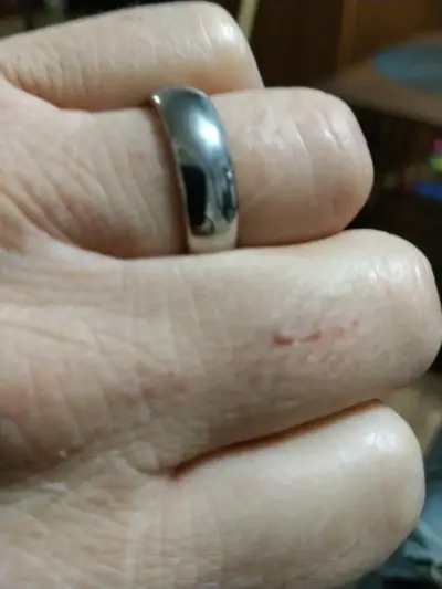 Anilo de Matrimonio - miniatura 1