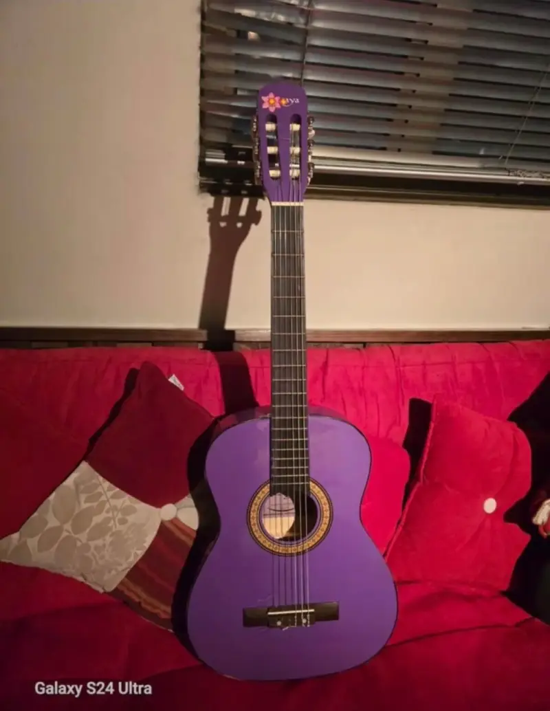 Guitarra acústica morada - 2
