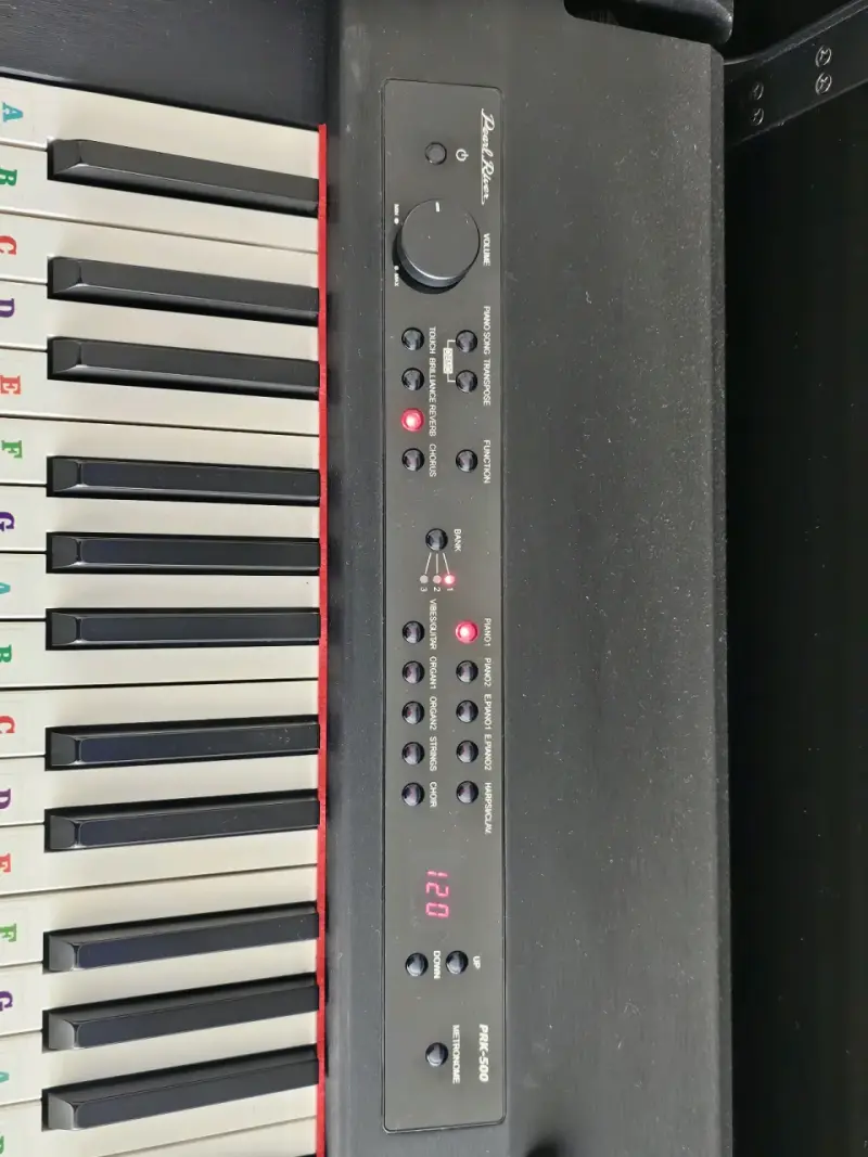 Piano digital Pearl River - 5