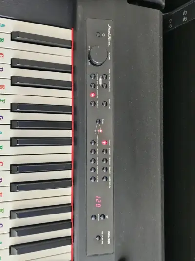 Piano digital Pearl River - miniatura 5