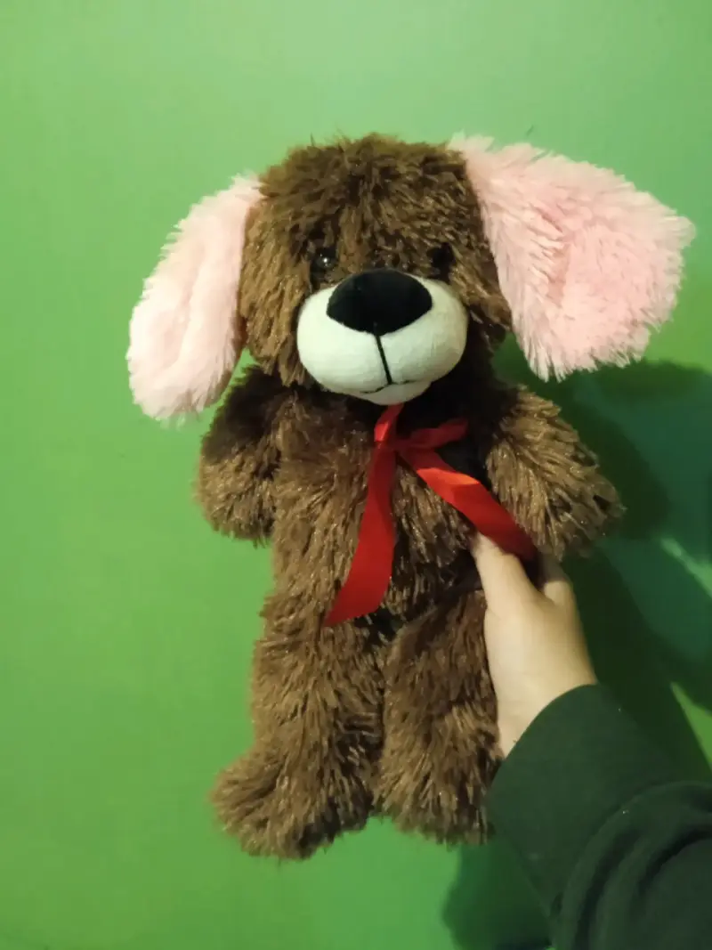 Peluche de oso marrón y rosado - 1