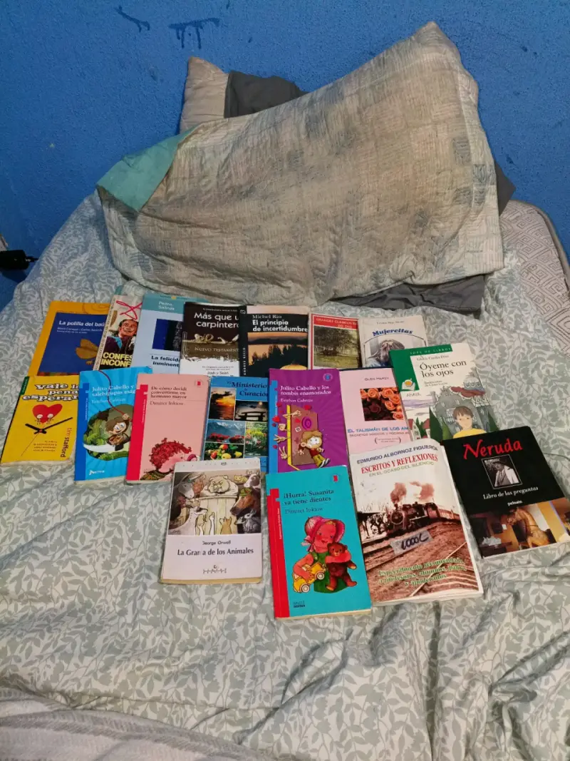 Lote de libros variados