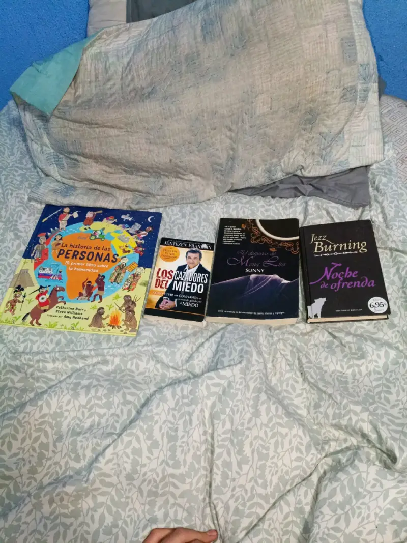 Lote de libros varios