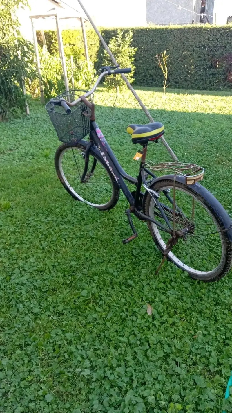 Bicicleta urbana con canasto