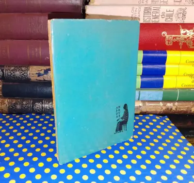 El Cuaderno De Víctor Hidalgo - Luis Rivano - miniatura 2