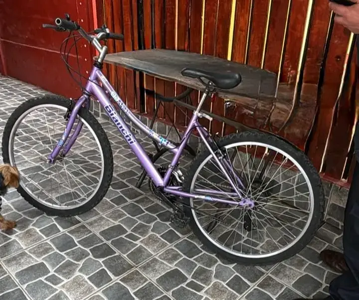 Bicicleta bianchi morada aro 26