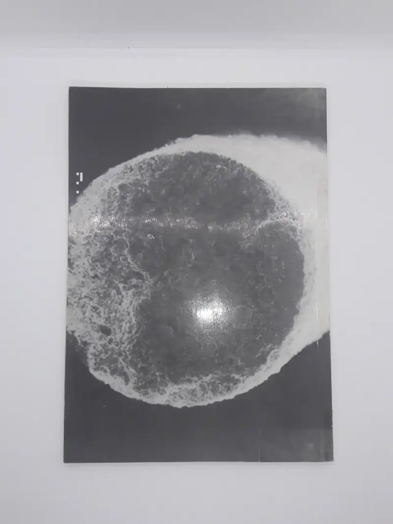 Revista Nucleotecnica varias ediciones - 2