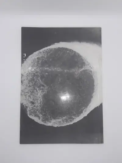 Revista Nucleotecnica varias ediciones - miniatura 2