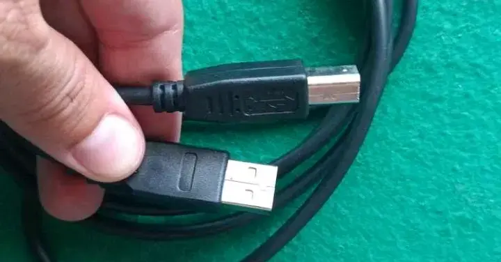 Cable USB para impresora - 2