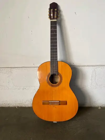 Guitarra acústica Jamboree G-60 - miniatura 2