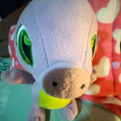 Spike my little pony - miniatura 5