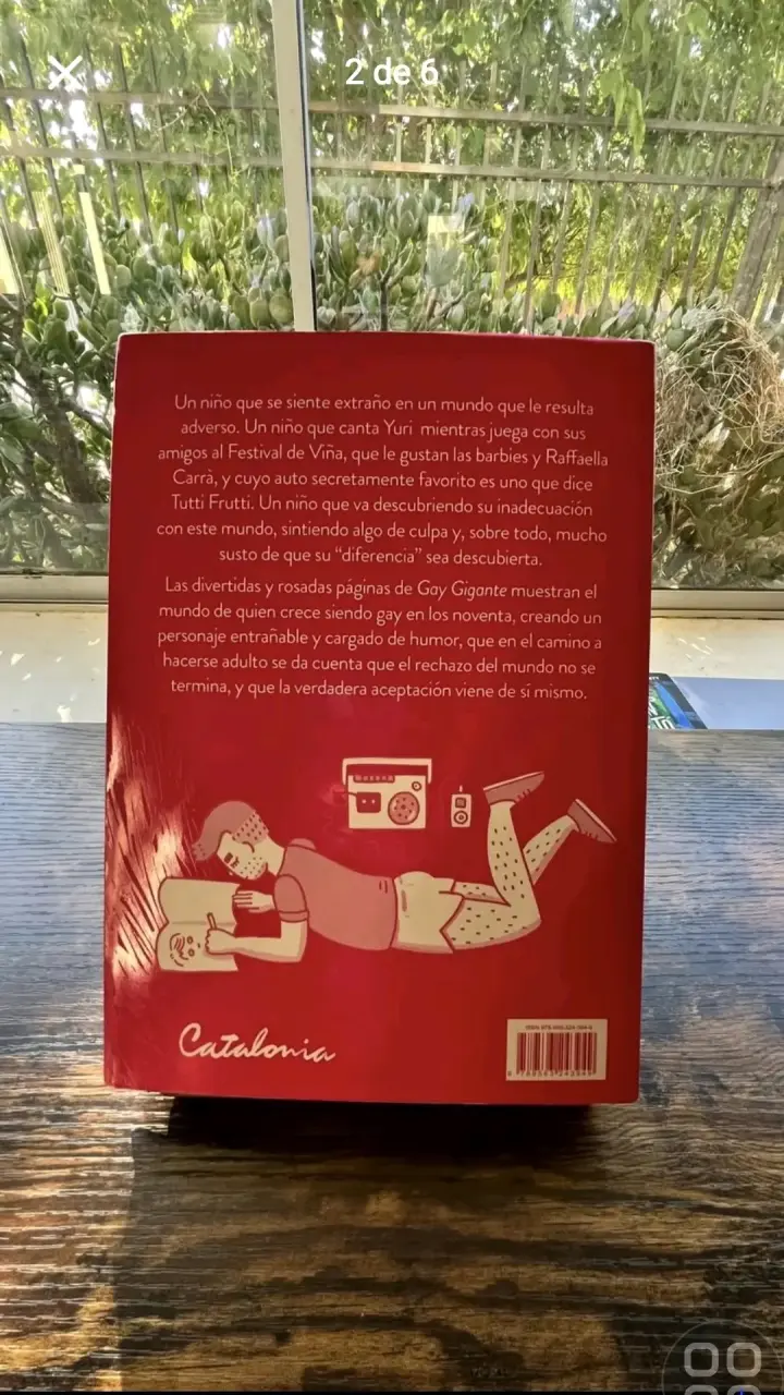 Libro 'Gay Gigante' de Gabriel Ebensperger - 2