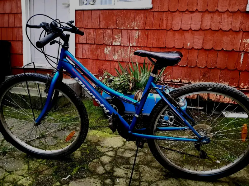 Bicicleta azul de montaña - 1
