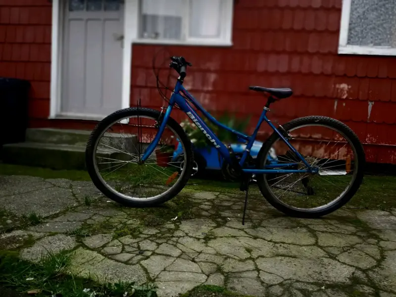 Bicicleta azul de montaña - 2