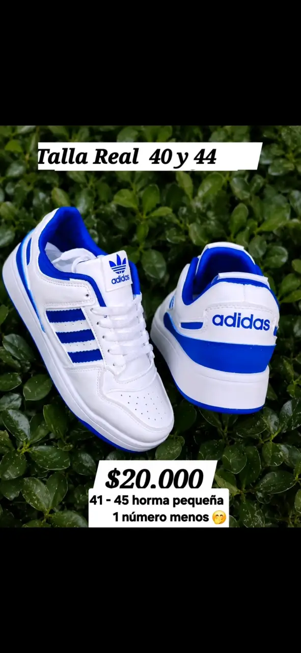 Zapatillas
