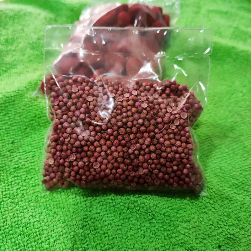 Semillas de hortalizas en bolsa - 1