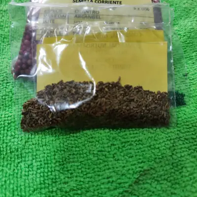 Semillas de hortalizas en bolsa - miniatura 3