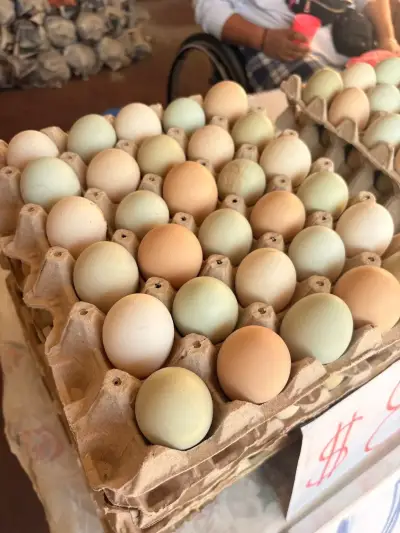 Huevos frescos de campo - miniatura 1