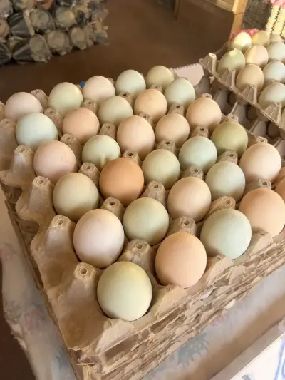 Huevos frescos de campo - miniatura 2