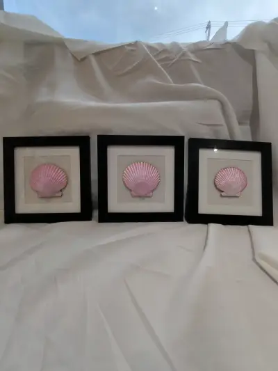 Triptico de cuadros con conchas - miniatura 1