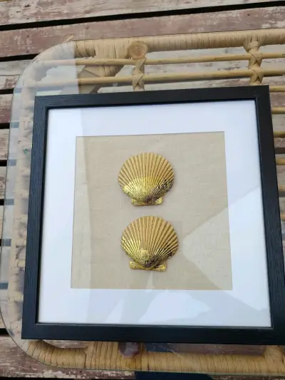 Triptico de cuadros con conchas - miniatura 3