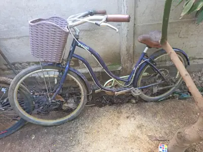 Bicicleta urbana con canasto - miniatura 1