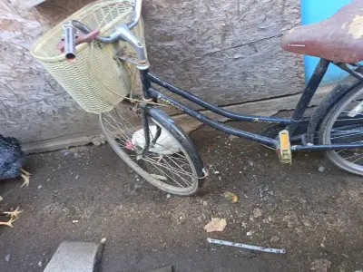 Bicicleta vintage con canasto - miniatura 1