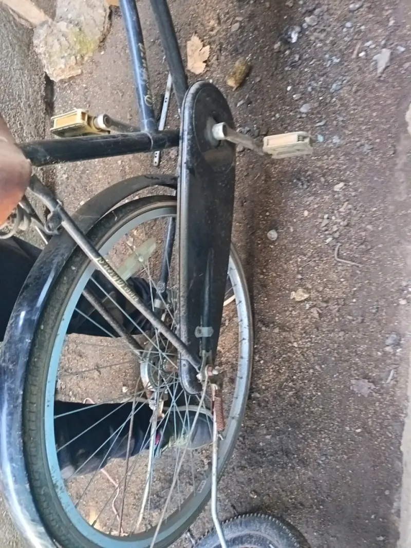 Bicicleta vintage con canasto - 3