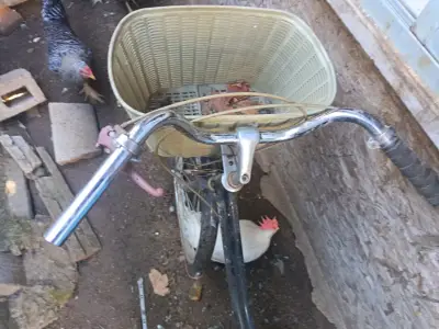 Bicicleta vintage con canasto - miniatura 5