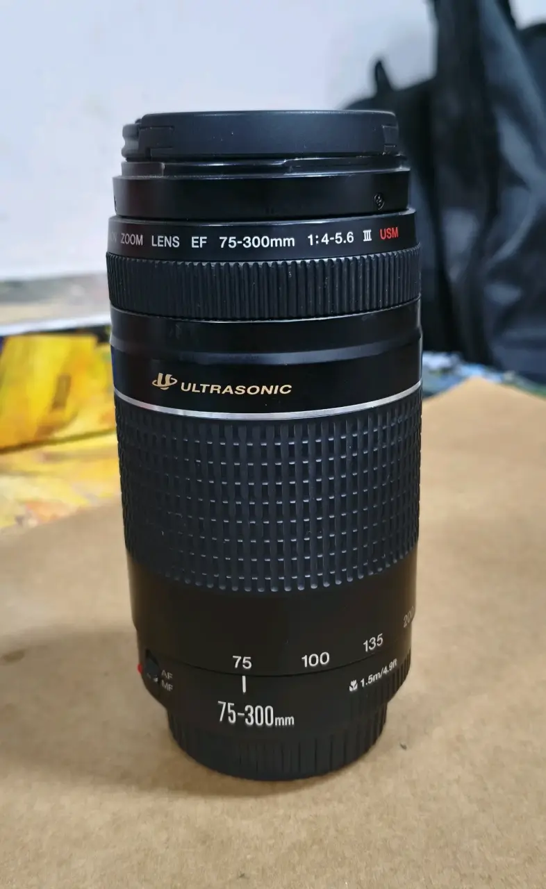 Lente Canon EF 75-300mm III USM - 2
