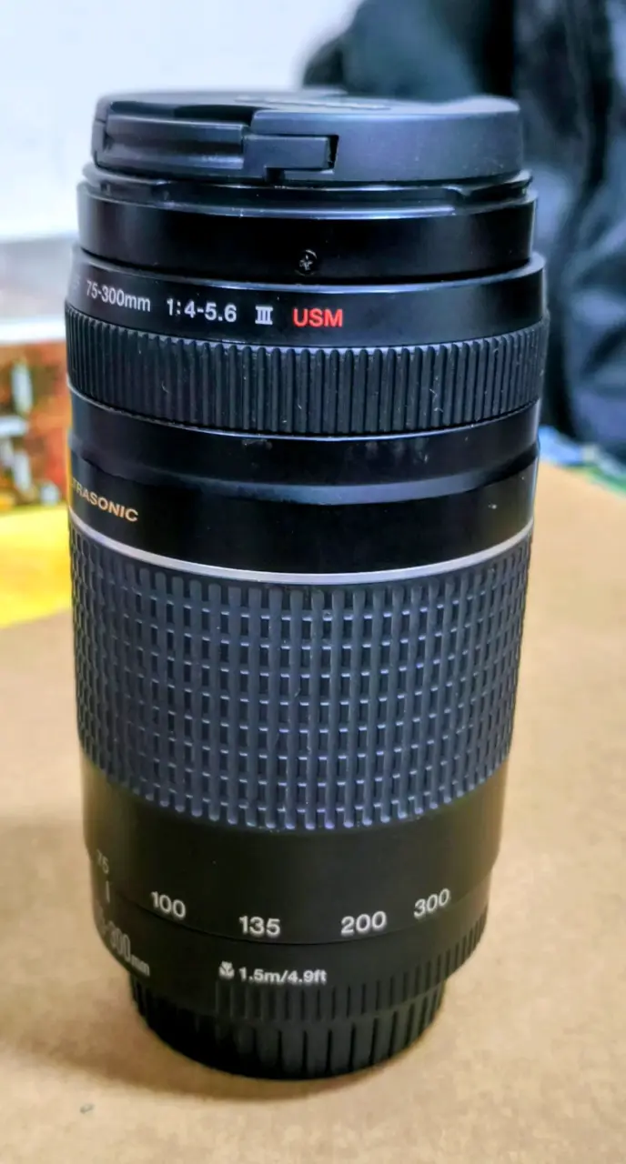 Lente Canon EF 75-300mm III USM - 4