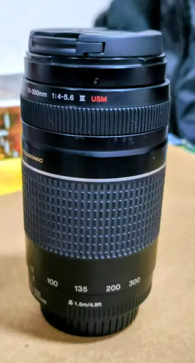 Lente Canon EF 75-300mm III USM - miniatura 4