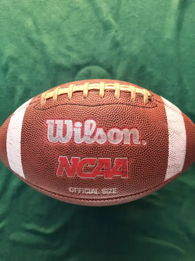 Balón de fútbol americano Wilson 30 cm - 2