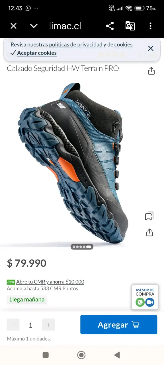 Zapatos de seguridad HW TERRAIN PRO N°42 - 5