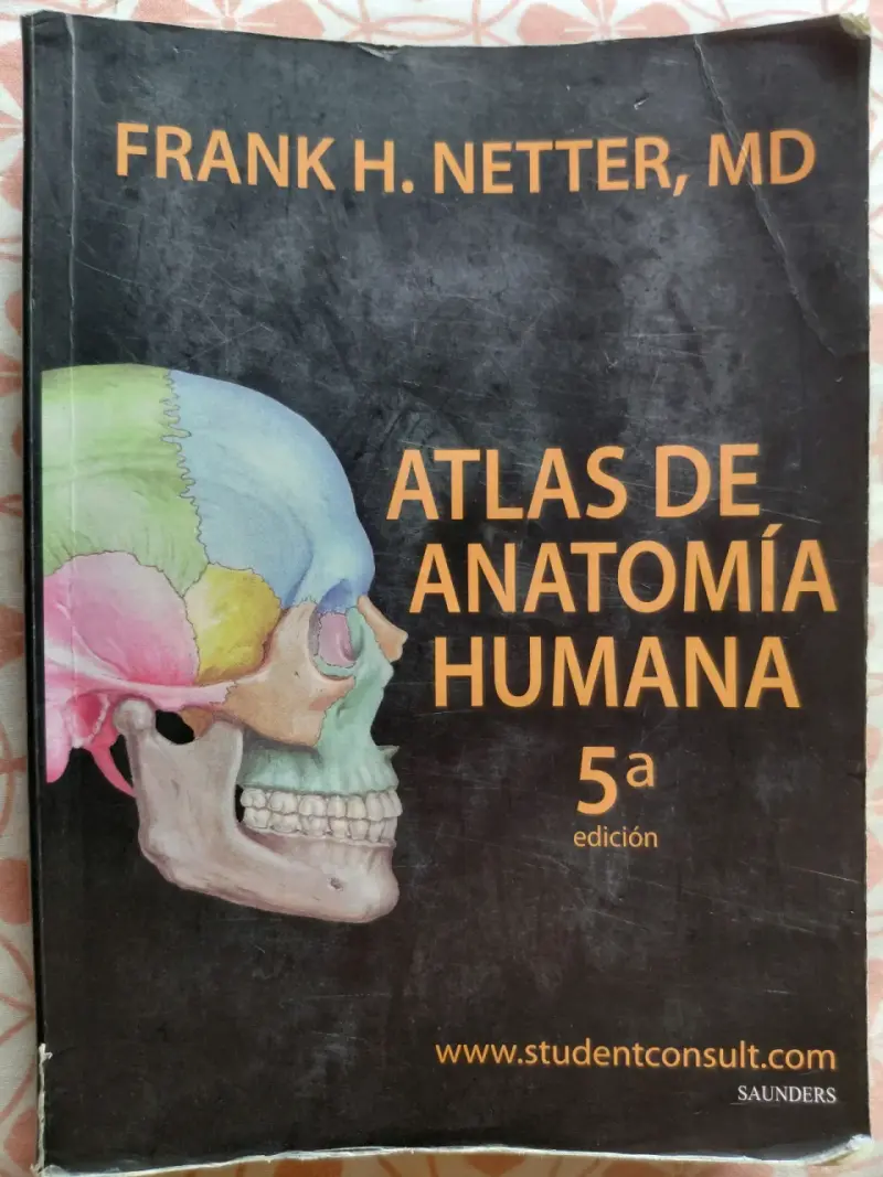 Atlas de Anatomía Humana 5ª edición - Netter