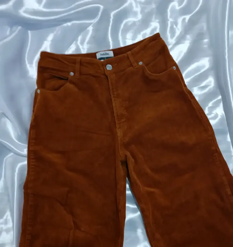 Pantalones Sybilla mujer corderoy marrón - 1