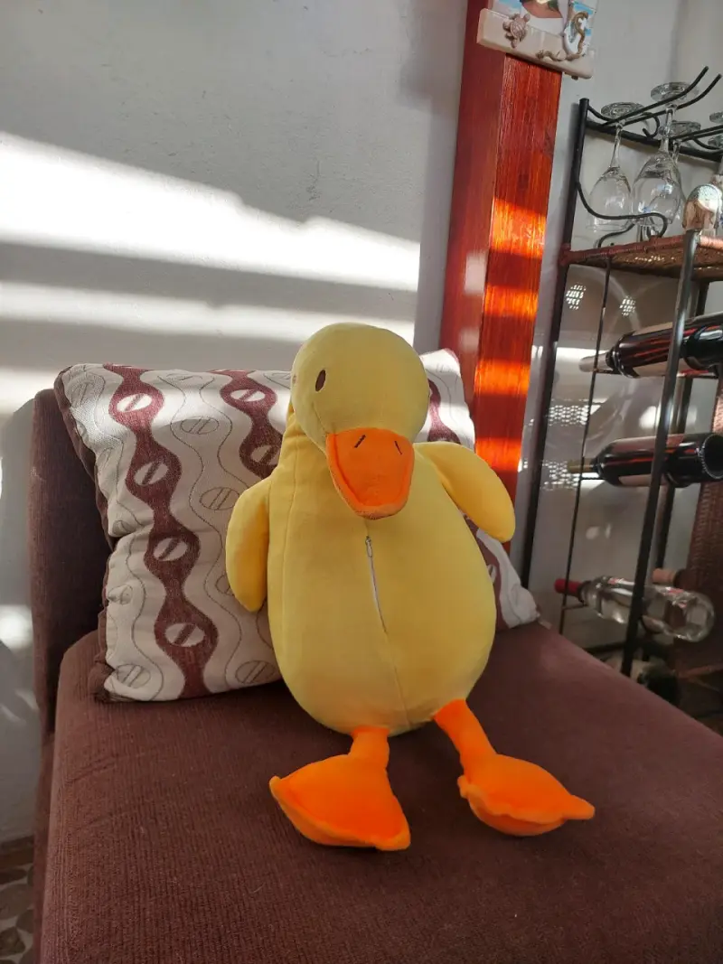 Peluche de pato - 2