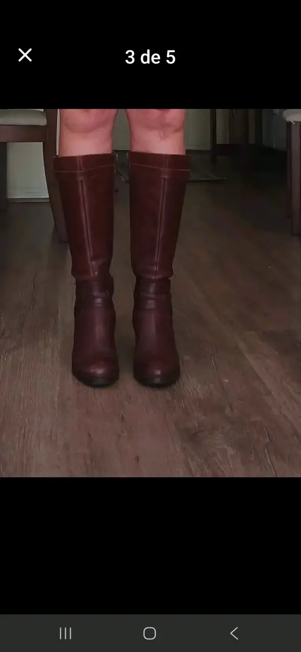 Botas burdeo pollini - 2