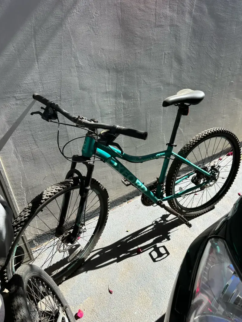 Bicicleta Oxford Venus 1 - 1