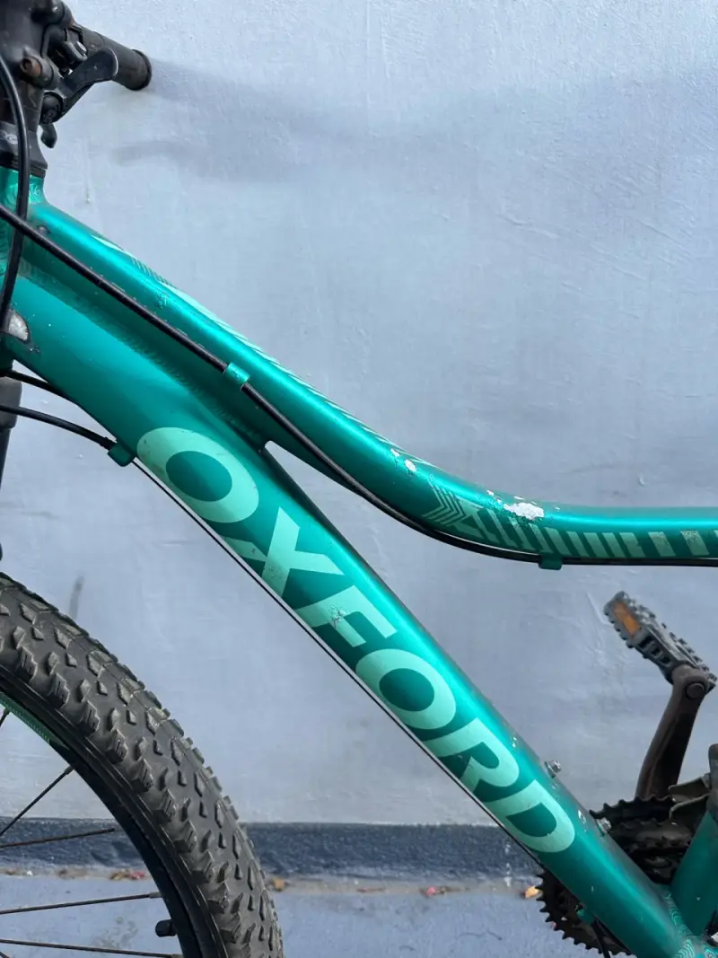 Bicicleta Oxford Venus 1 - 2