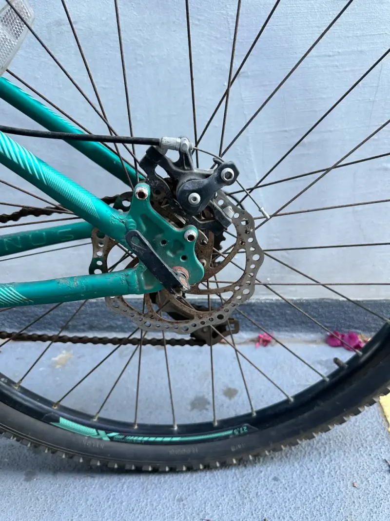 Bicicleta Oxford Venus 1 - 3