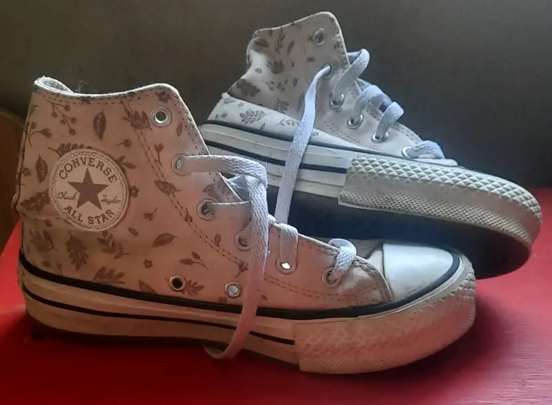 Zapatilla Converse Chuck Taylor All Star